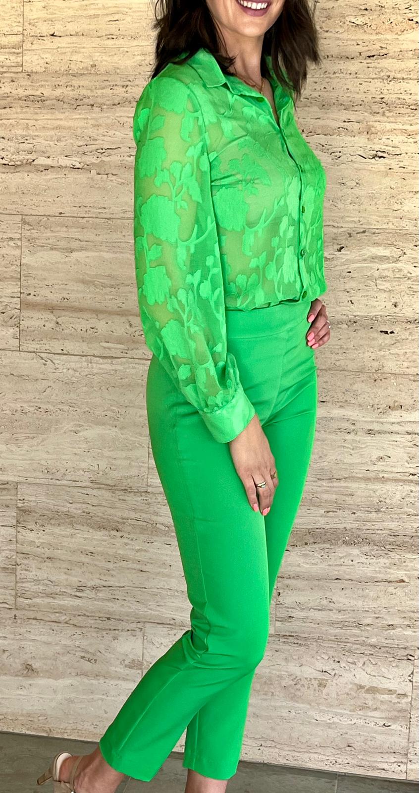 CONJUNTO NATURALEZA VERDE