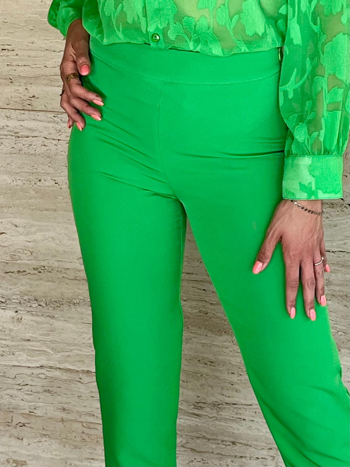 CONJUNTO NATURALEZA VERDE
