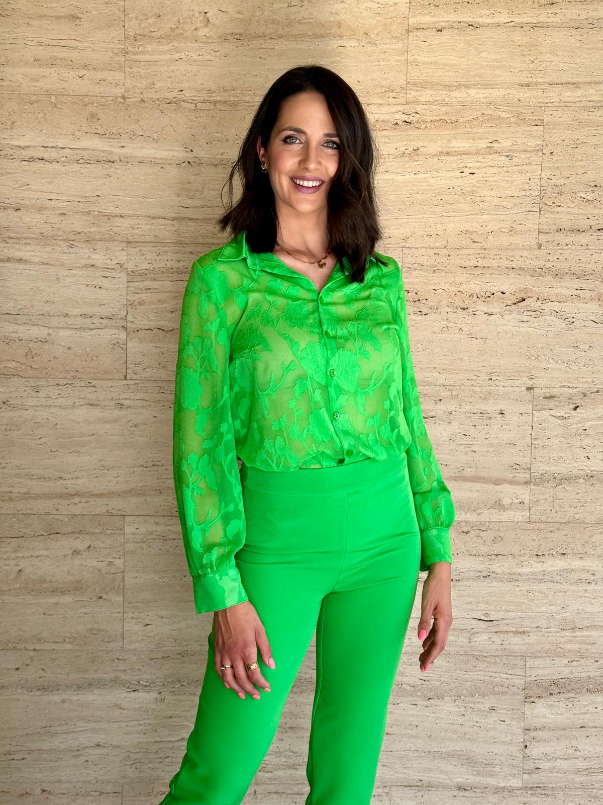 CONJUNTO NATURALEZA VERDE