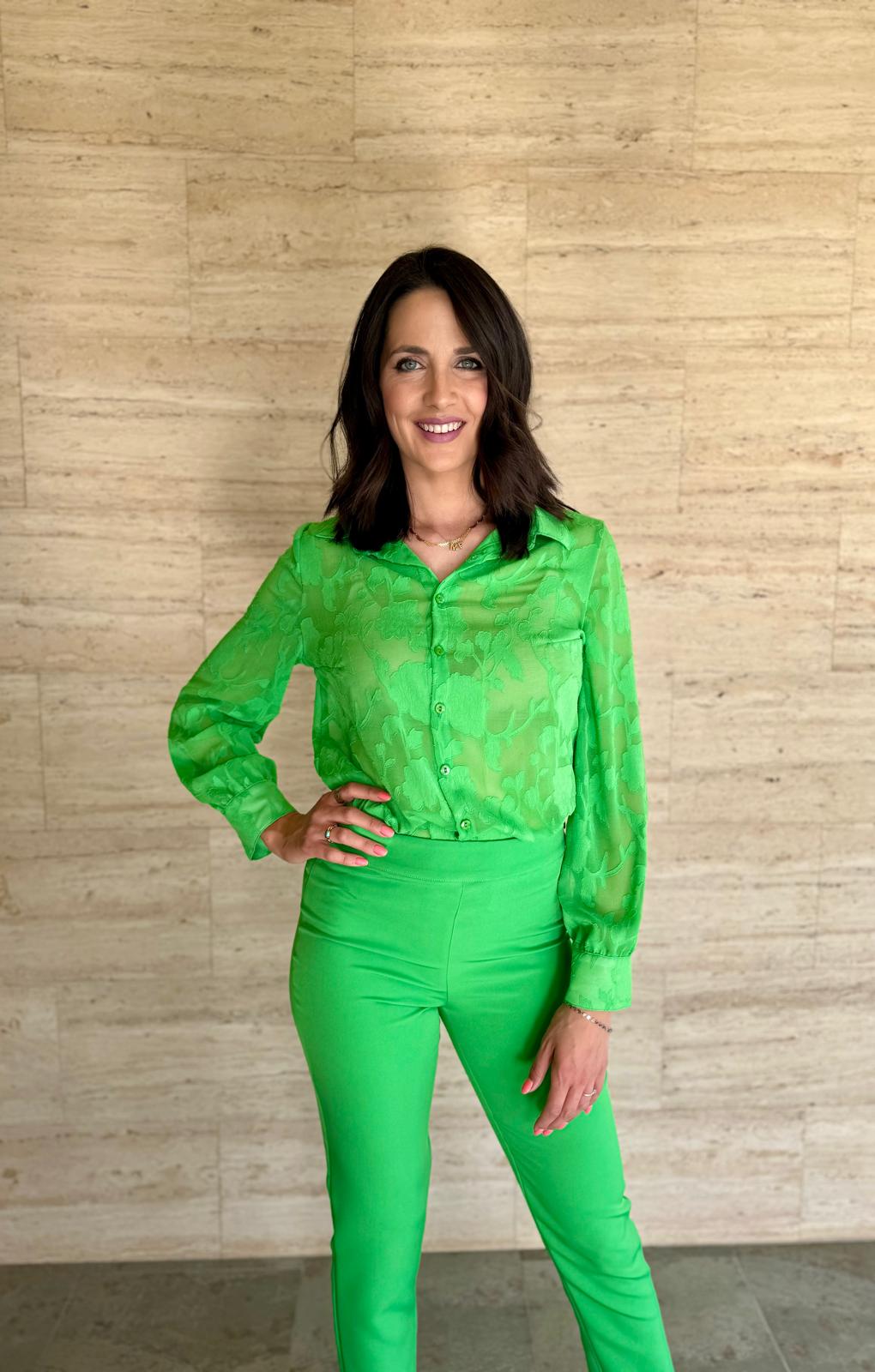 CONJUNTO NATURALEZA VERDE