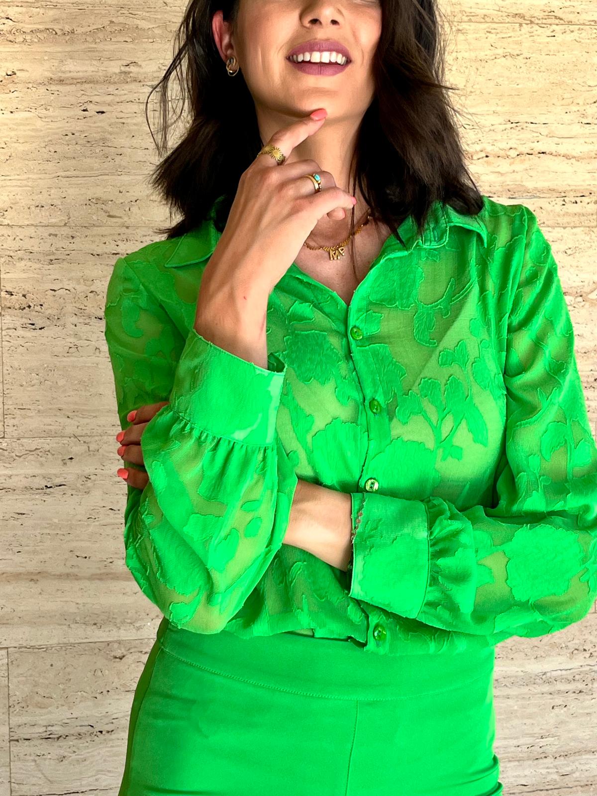CONJUNTO NATURALEZA VERDE